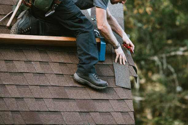 Best Storm Damage Roof Repair  in Blasdell, NY